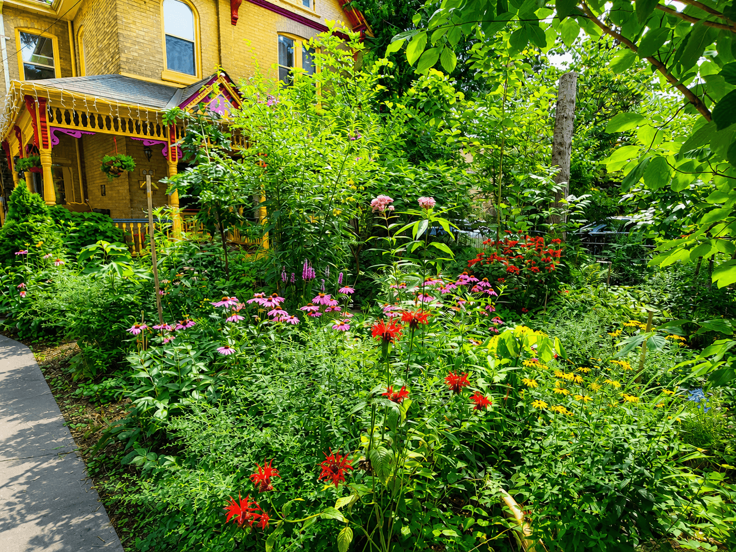 A woodland front yard combining captivating beauty with habitat for local wildlife
